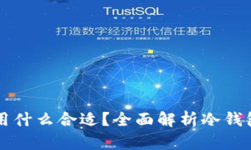 Title: 冷钱包用什么合适？全面解析冷钱包的选择与使用