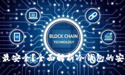 什么冷钱包最安全？全面解析冷钱包的安全性与选择