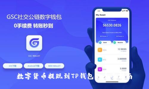 数字货币提现到TP钱包的全面指南