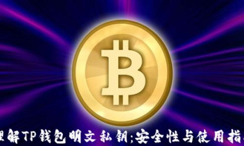 
理解TP钱包明文私钥：安全性与使用指南