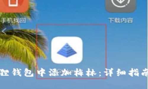 如何在小狐狸钱包中添加梅林：详细指南与问题解答