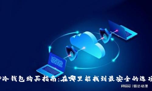 TP冷钱包购买指南：在哪里能找到最安全的选项？