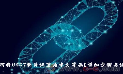 如何将USDT软件设置为中文界面？详细步骤与说明