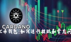: 了解C币钱包：如何进行