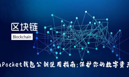 TokenPocket钱包公钥使用指南：保护你的数字资产安全
