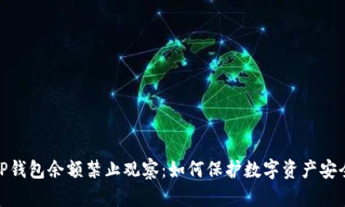 TP钱包余额禁止观察：如何保护数字资产安全
