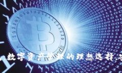  芝麻币客TP钱包：数字资