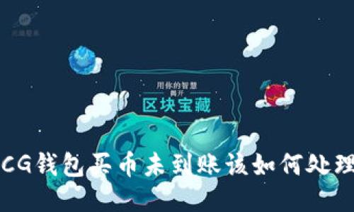bCG钱包买币未到账该如何处理？