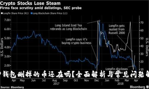  TP钱包删掉的币还在吗？全面解析与常见问题解答