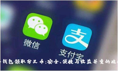 冷钱包领取分叉币：安全、便捷与收益并重的攻略