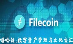 TP钱包与嘻哈链：数字资产管理与文化交汇的新机