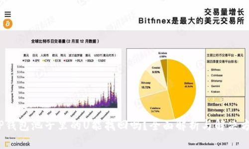 (TP钱包池子里的U能找回吗？全面解析与解决方案