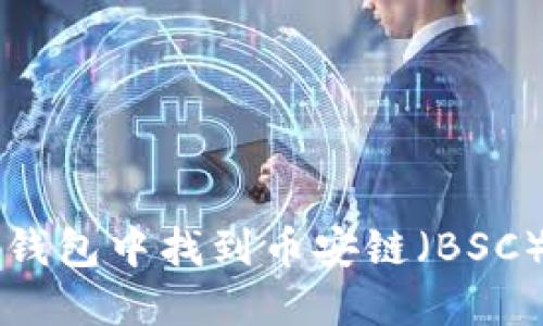 如何在TP钱包中找到币安链（BSC）操作指南