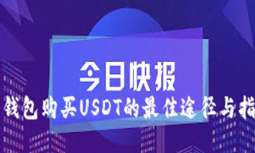 冷钱包购买USDT的最佳途径与指南