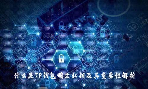 什么是TP钱包明文私钥及其重要性解析