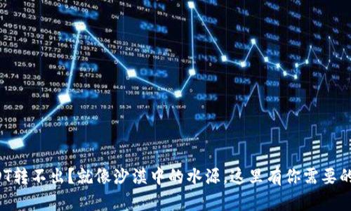 冷钱包USDT转不出？就像沙漠中的水源，这里有你需要的知识雨露！