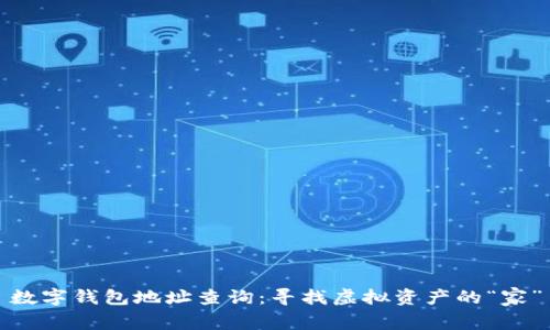 数字钱包地址查询：寻找虚拟资产的“家”