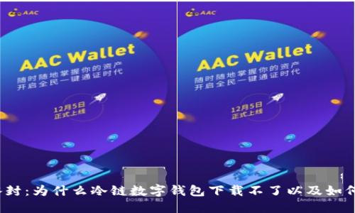 打破冰封：为什么冷链数字钱包下载不了以及如何解决?