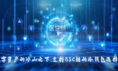 在数字资产的冰山之下：支持BSC链的冷钱包选择