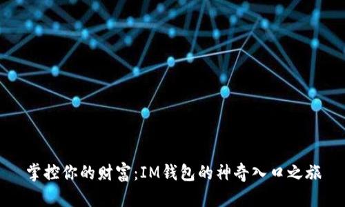 掌控你的财富：IM钱包的神奇入口之旅
