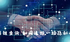 冷钱包交易链查询：如同追踪一场隐秘的寻宝游