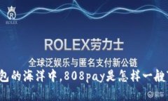 在数字钱包的海洋中，808pay是怎样一艘“航母”