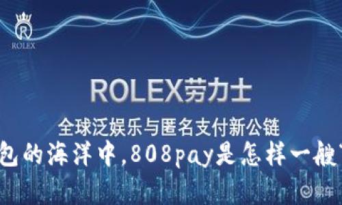 在数字钱包的海洋中，808pay是怎样一艘“航母”的？