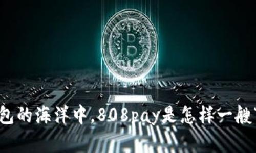 在数字钱包的海洋中，808pay是怎样一艘“航母”的？