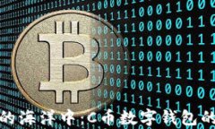 在数字财富的海洋中：C币数字钱包的安全性探秘