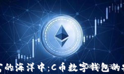 
在数字财富的海洋中：C币数字钱包的安全性探秘