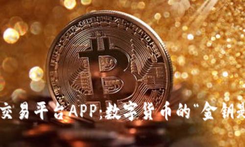 揭秘CoinCoin交易平台APP：数字货币的“金钥匙”与“藏宝图”！