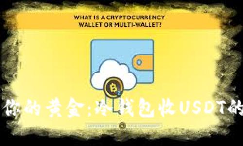 如同守护你的黄金：冷钱包收USDT的安全秘笈