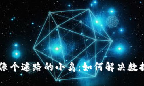 当你的TP钱包像个迷路的小鸟：如何解决数据不同步的问题