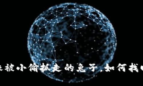 “冷钱包里的‘U’像被小偷抓走的兔子，如何找回你的数字资产？”