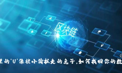 “冷钱包里的‘U’像被小偷抓走的兔子，如何找回你的数字资产？”