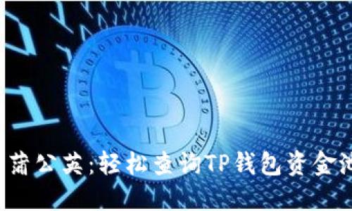 像微风中的蒲公英：轻松查询TP钱包资金池中的USDT