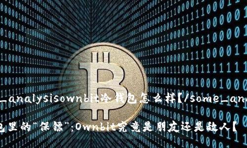 some_analysisownbit冷钱包怎么样？/some_analysis

冷钱包里的“保镖”：Ownbit究竟是朋友还是敌人？
