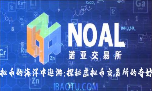 在虚拟币的海洋中遨游：探秘虚拟币交易所的奇妙世界