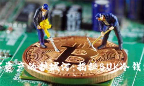 保卫数字资产的护城河：揭秘BUK冷钱包的秘密
