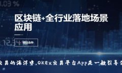 在数字货币交易的海洋中