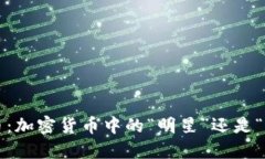 波场币：加密货币中的“