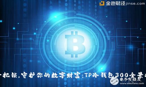 像一把锁，守护你的数字财富：TP冷钱包300全景揭秘