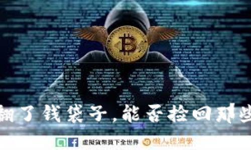冷钱包提币错误：打翻了钱袋子，能否捡回那些“掉落”的数字资产？