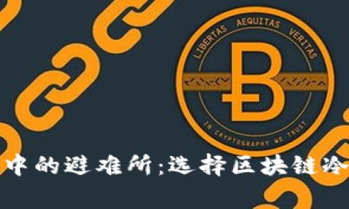 像银行暴风雪中的避难所：选择区块链冷钱包厂家指南