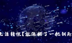 冷钱包无法转帐？就像扔