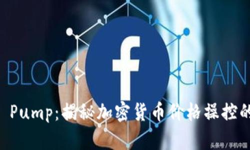 币圈 Pump：揭秘加密货币价格操控的背后