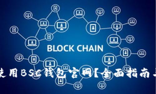 如何安全使用BSC钱包官网？全面指南与注意事项