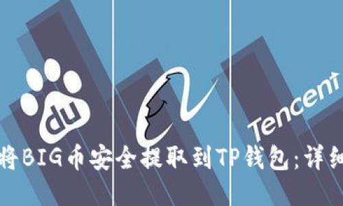 如何将BIG币安全提取到TP钱包：详细指南