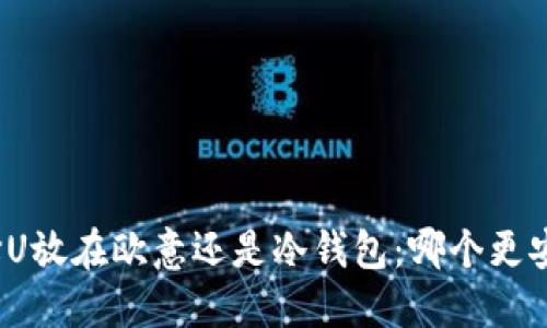 选择U放在欧意还是冷钱包：哪个更安全？