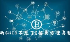 转到冷钱包的SHIB不见了？